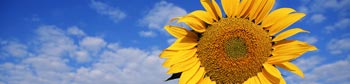 Solar Products